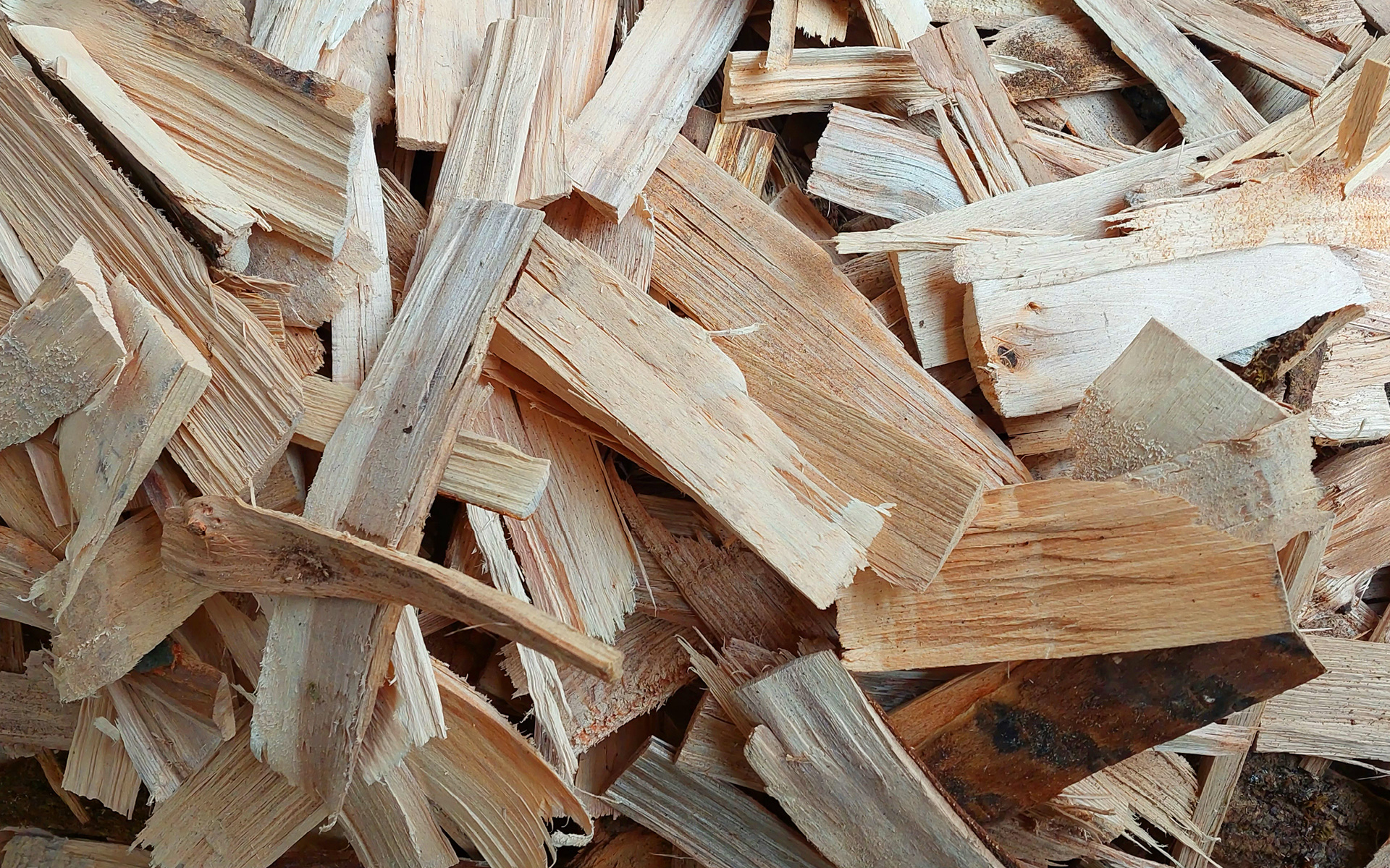 Anzündholz von Main Brennholz