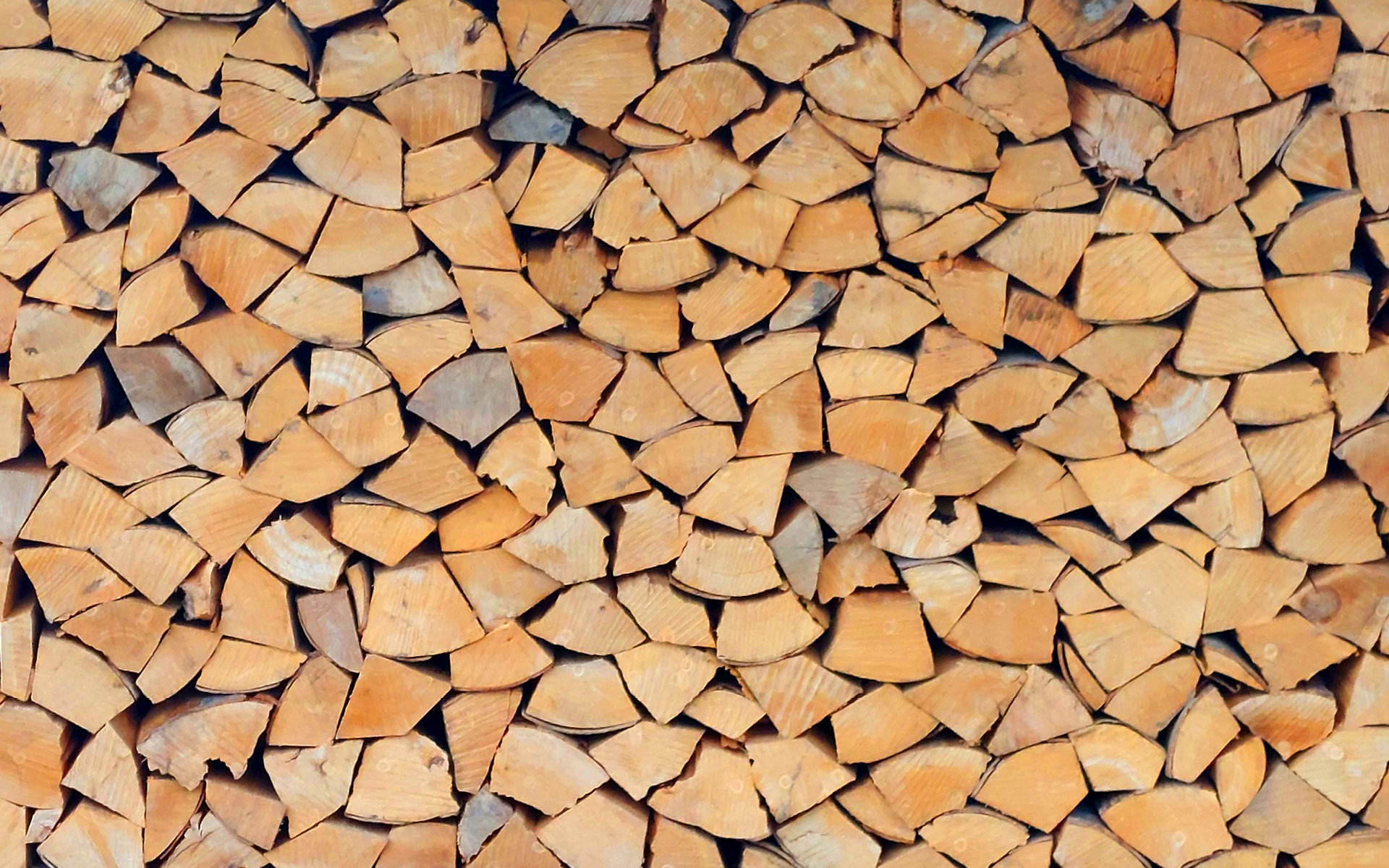 Getrockenes aufgeschichtetes Holz von Main Brennholz